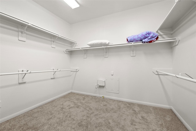 22726 Little Blue Stem Dr, Tomball, TX 77375 - walk in closet featuring carpet