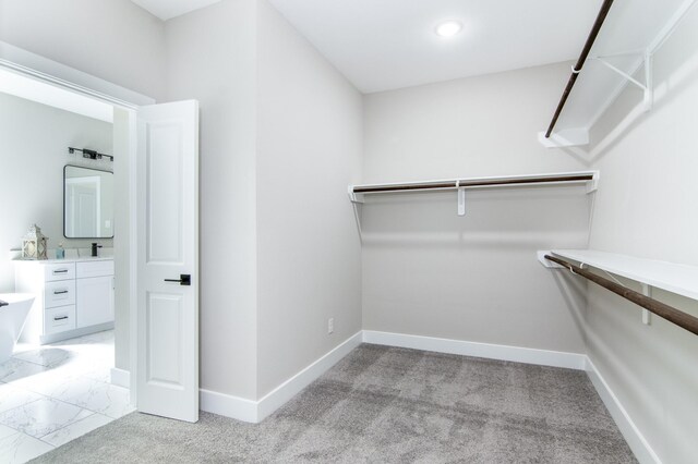 walk in closet with light carpet