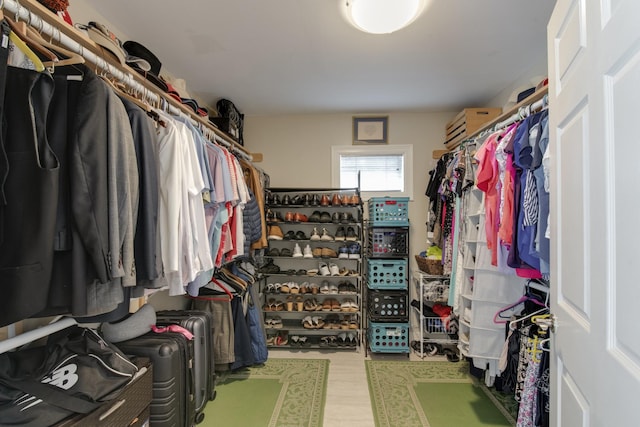 11107 Atwell Dr, Houston, TX 77096 - view of walk in closet