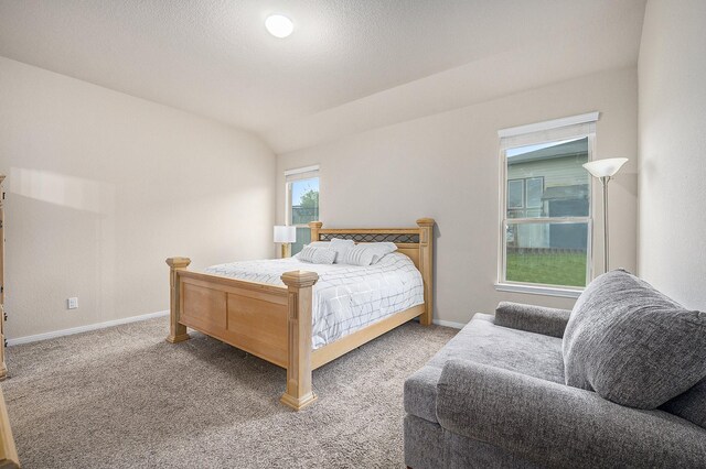 bedroom featuring carpet flooring, baseboards, and vaulted ceiling