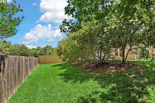 13228 Miller Ln, Willis, TX 77318 - view of yard