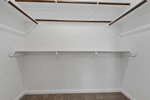 13228 Miller Ln, Willis, TX 77318 - walk in closet with carpet flooring