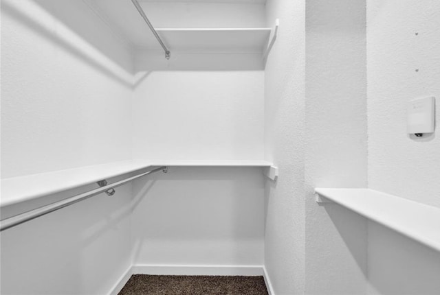 12603 Telge Rd Unit 11E-F, Cypress, TX 77429 - spacious closet with carpet flooring
