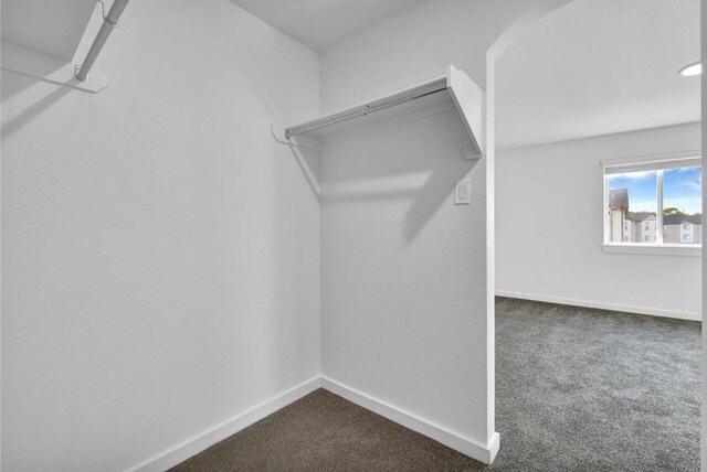 12603 Telge Rd Unit 11E-F, Cypress, TX 77429 - spacious closet featuring dark colored carpet