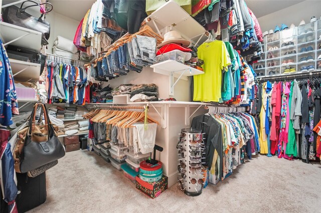 spacious closet with carpet