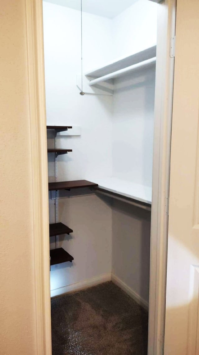 walk in closet featuring dark carpet