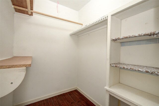 walk in closet featuring dark wood-style flooring
