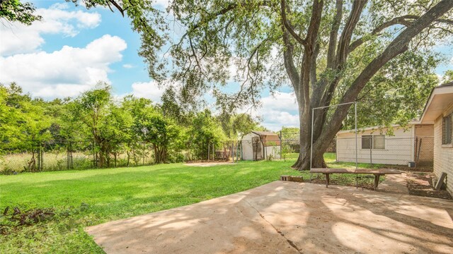 view of yard with a patio area, a storage unit, and an outbuilding