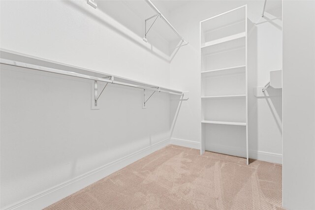 walk in closet featuring carpet floors