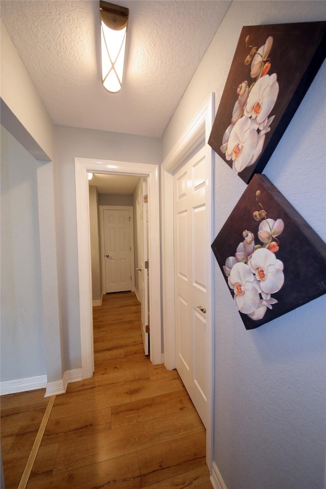 3726 Straightfork Dr, Houston, TX 77082 - corridor with light wood-style floors, baseboards, and a textured ceiling