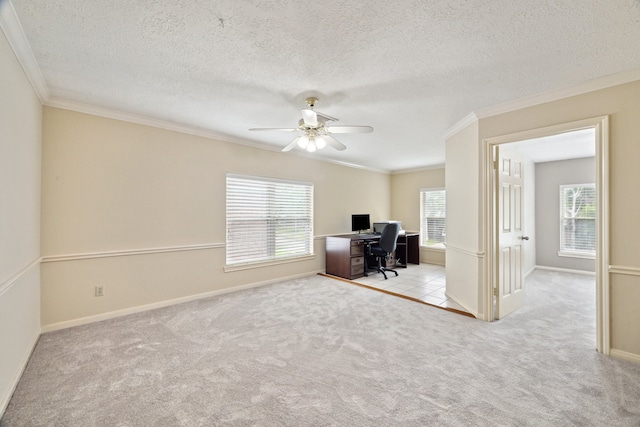 carpeted office space featuring crown molding, a ceiling fan, baseboards, and a textured ceiling