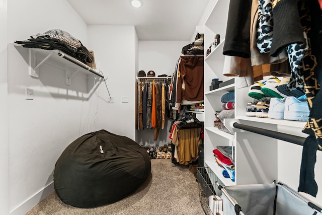 walk in closet with carpet