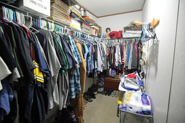 15402 Maple St, Santa Fe, TX 77517 - walk in closet featuring carpet flooring