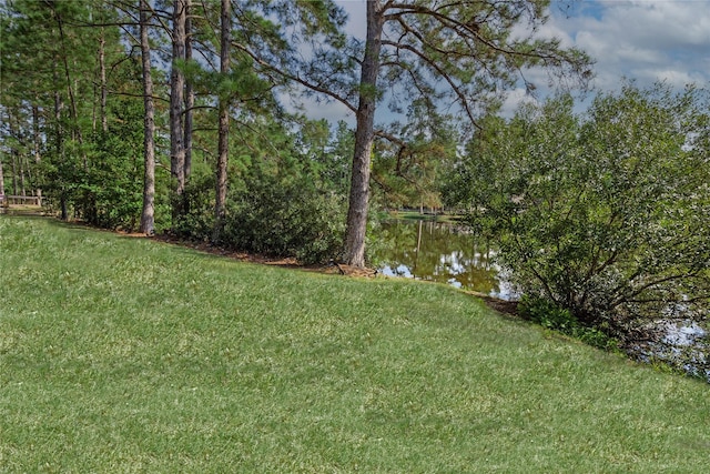 28116 Chuckwagon Trl, Magnolia, TX 77355 - view of green lawn