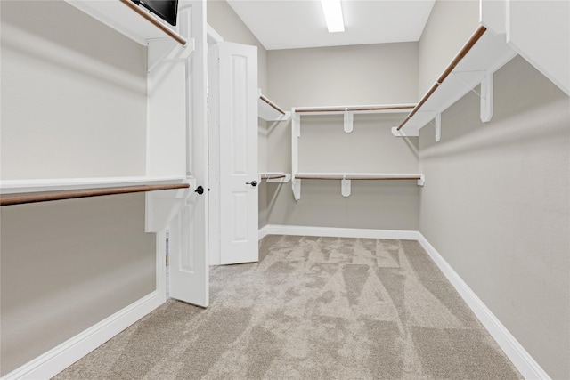 28116 Chuckwagon Trl, Magnolia, TX 77355 - walk in closet with carpet floors
