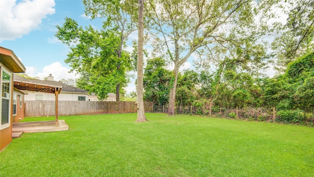 9024 Zapata Way, Willis, TX 77378 - view of yard