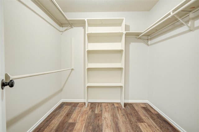 9024 Zapata Way, Willis, TX 77378 - spacious closet with wood finished floors