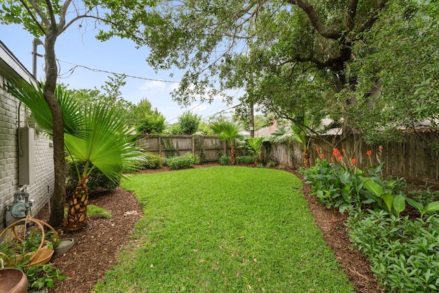 view of yard