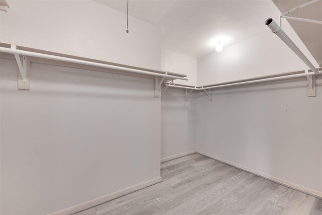 spacious closet with light wood-type flooring