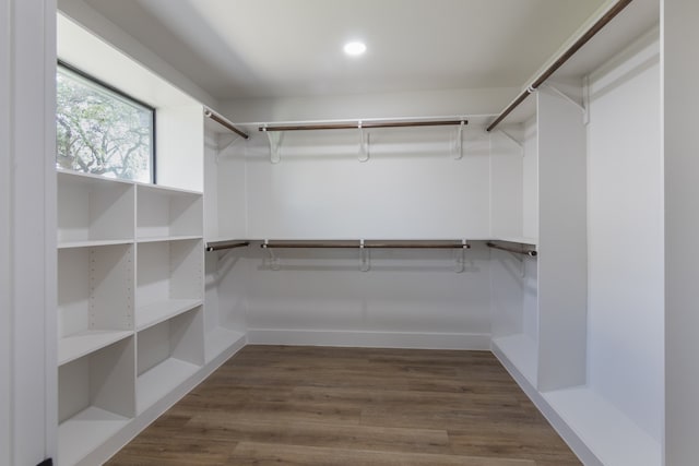 1710 Hafner Dr, Houston, TX 77055 - spacious closet featuring dark wood-style flooring