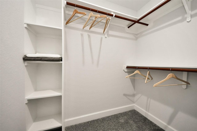 walk in closet featuring carpet