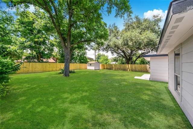 view of yard with a shed and an outdoor structure