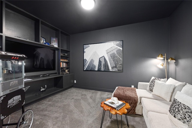 4826 Hudson Park Ct, Fulshear, TX 77441 - carpeted cinema room with built in shelves and baseboards