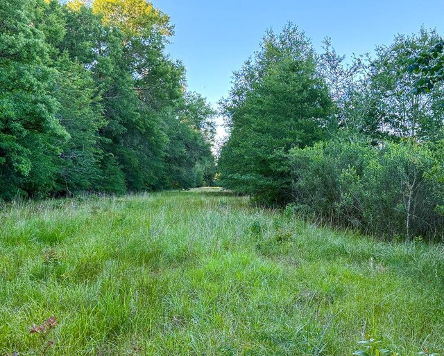 000 Fm 230, Lovelady, TX 75851 - photo 11