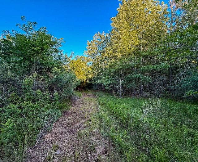 000 Fm 230, Lovelady, TX 75851 - photo 12