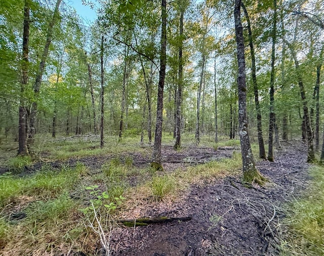 000 Fm 230, Lovelady, TX 75851 - photo 13