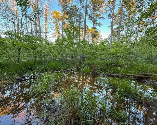 000 Fm 230, Lovelady, TX 75851 - photo 14