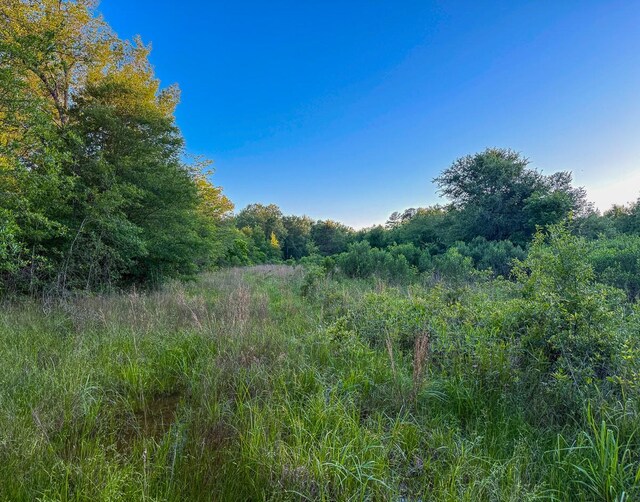 000 Fm 230, Lovelady, TX 75851 - photo 15