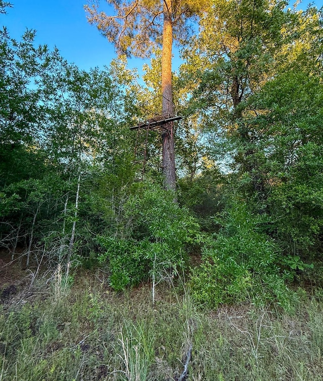 000 Fm 230, Lovelady, TX 75851 - photo 16