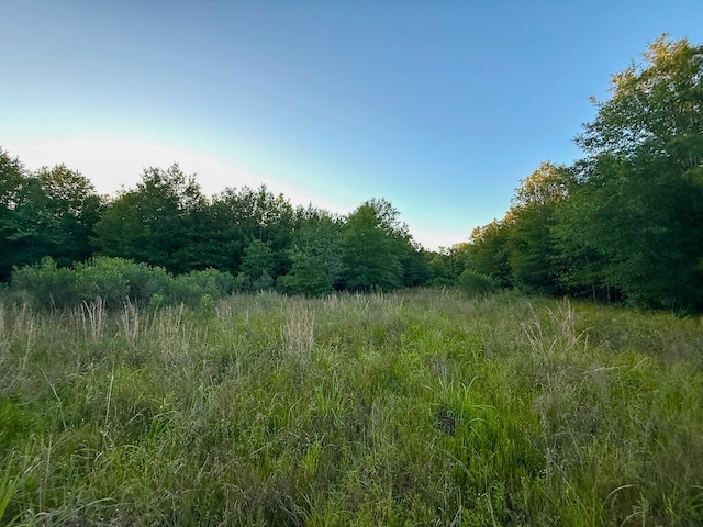 000 Fm 230, Lovelady, TX 75851 - photo 17