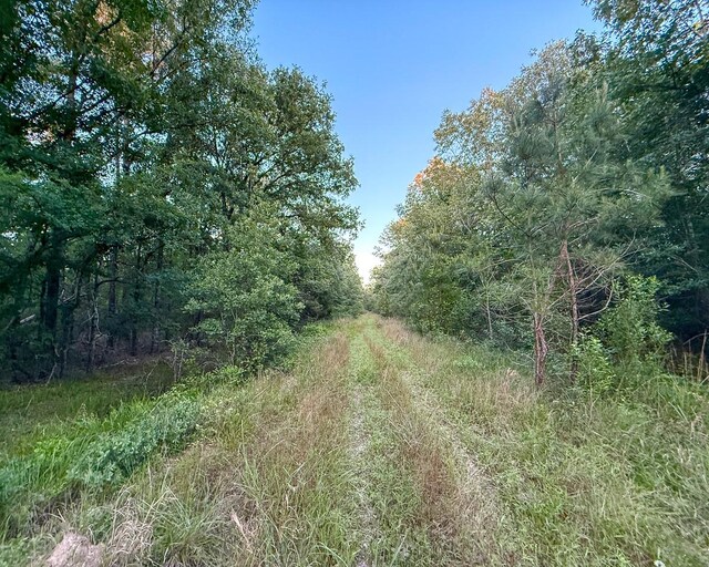 000 Fm 230, Lovelady, TX 75851 - photo 18