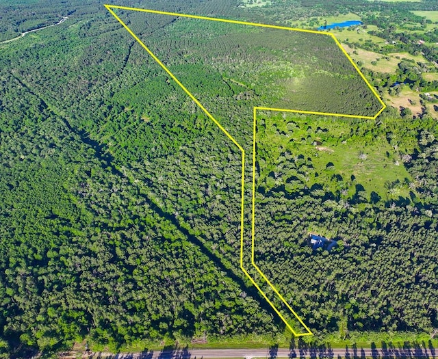 000 Fm 230, Lovelady, TX 75851 - photo 1