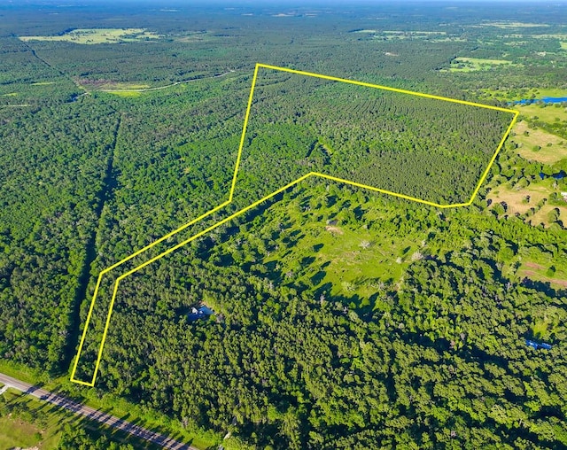 000 Fm 230, Lovelady, TX 75851 - photo 2