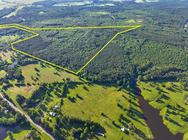 000 Fm 230, Lovelady, TX 75851 - photo 4