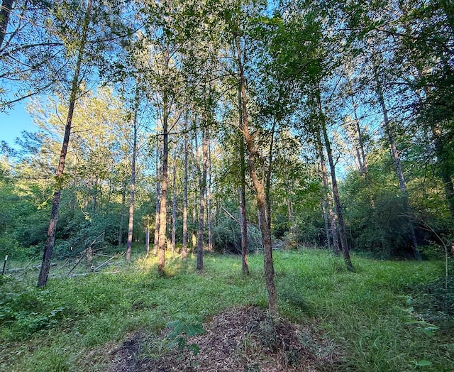 000 Fm 230, Lovelady, TX 75851 - photo 9