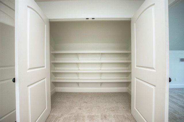 1973 Greentree Dr, Huntsville, TX 77340 - view of closet