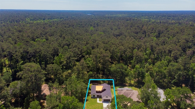 1973 Greentree Dr, Huntsville, TX 77340 - view of subject property with a forest and property parcel outlined