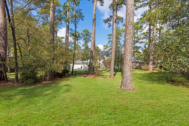 6131 Knollview Dr, Spring, TX 77389 - view of green lawn