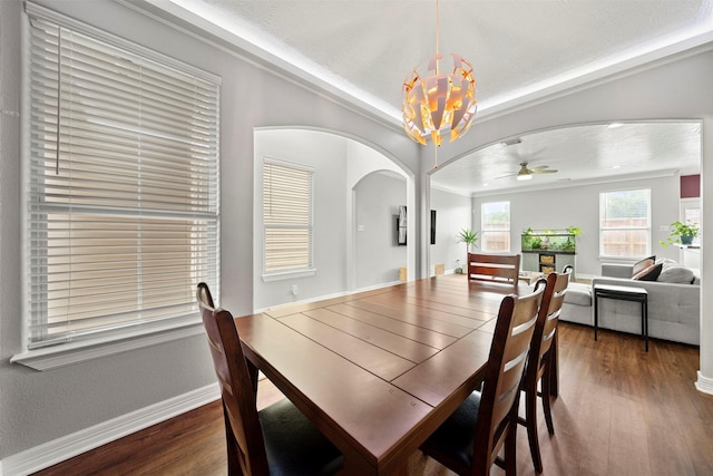 dining room featuring a chandelier, wood finished floors, ceiling fan, and arched walkways