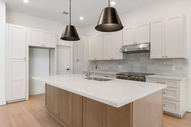kitchen with under cabinet range hood, a sink, backsplash, light wood-type flooring, and white cabinetry