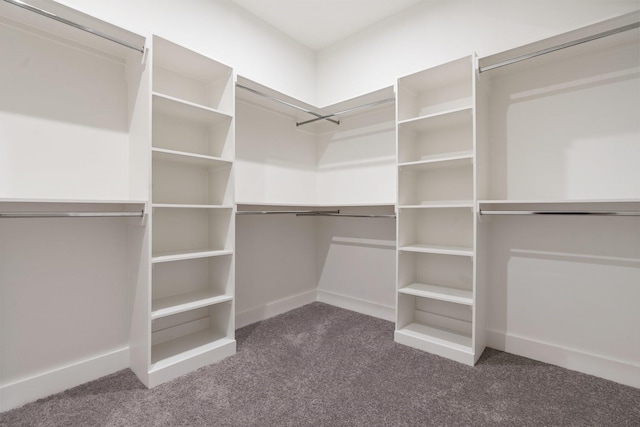 spacious closet with carpet flooring