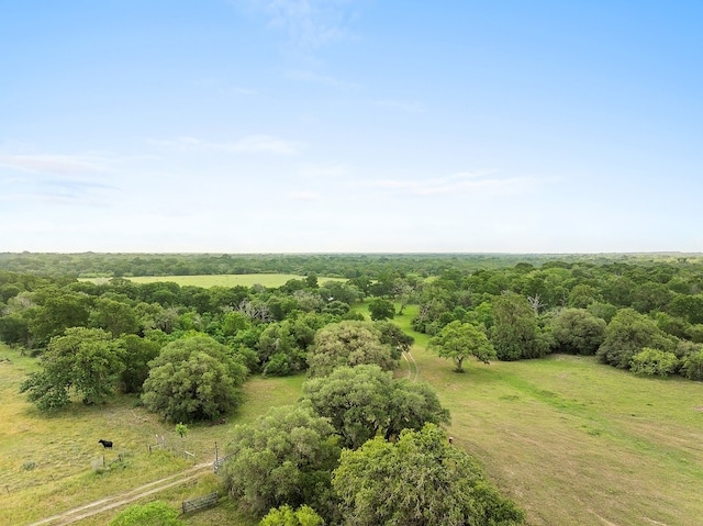2347 Harmony Rd, Weimar, TX 78962 - photo 4