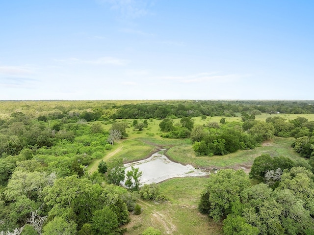 2347 Harmony Rd, Weimar, TX 78962 - photo 5