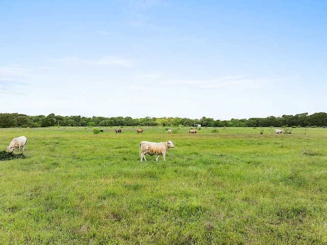 2347 Harmony Rd, Weimar, TX 78962 - photo 8