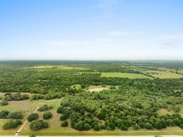 2347 Harmony Rd, Weimar, TX 78962 - photo 10