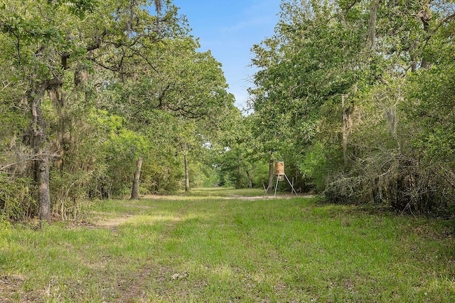 2347 Harmony Rd, Weimar, TX 78962 - photo 11